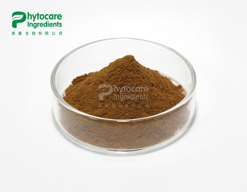 Coleus Forskohlii Extract Powder